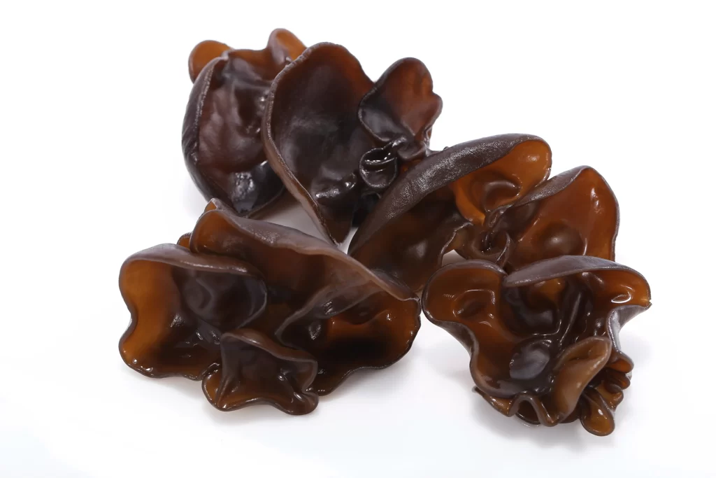 Black Fungus Edible Jelly Mushroom