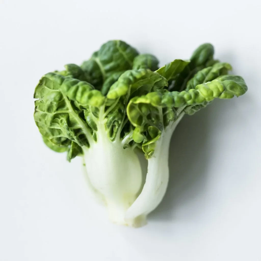 Bok Choy Green Crisp Leafy Vegetable