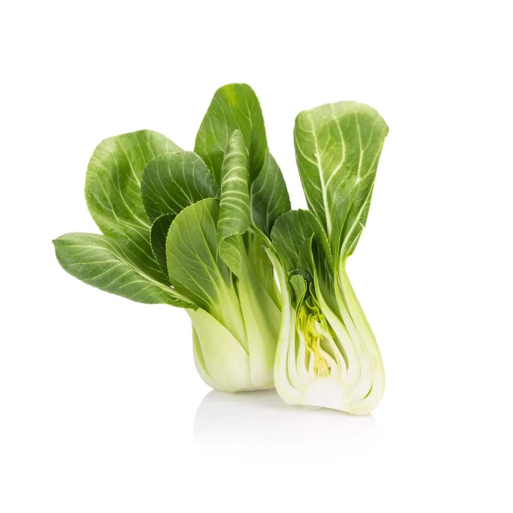 Bok Choy Green Leafy Vegetable Fresh