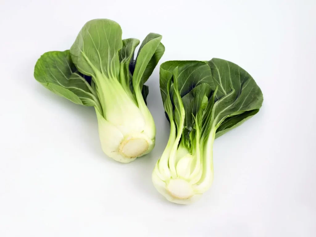 Bok Choy Green Leafy Vegetable Fresh Crisp