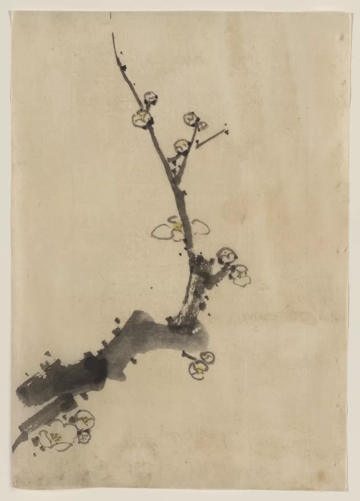Branch Blossoms Black Ink Minimalist Nature