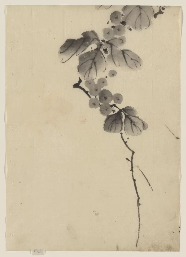 Branch Leaves Flowers Delicate Monochrome Elegance