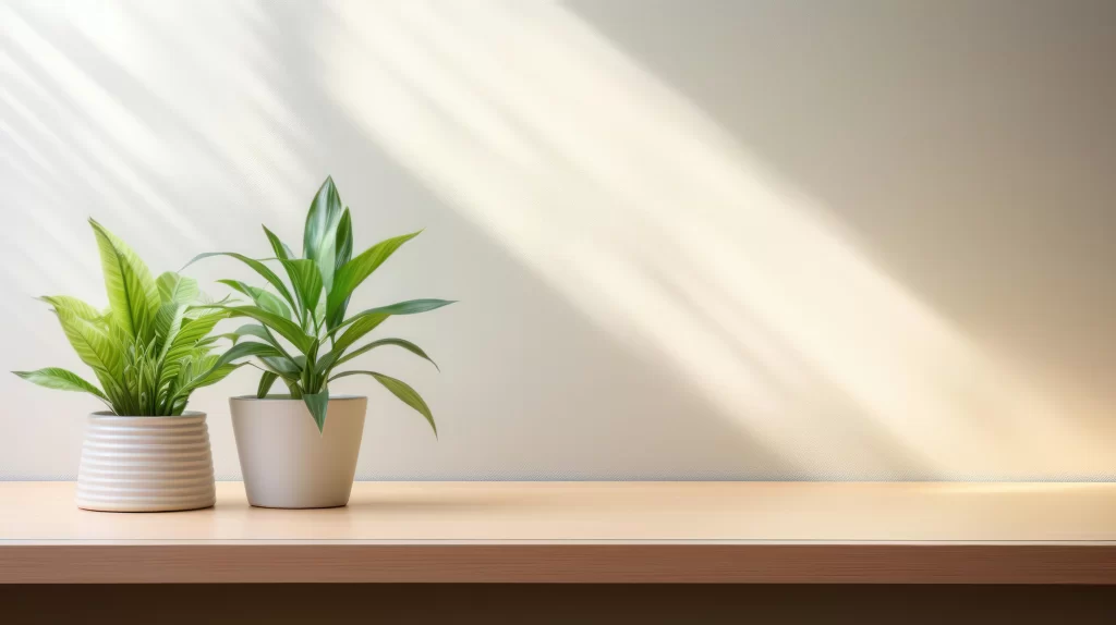 Bright Minimalist Interior with Potted Plants