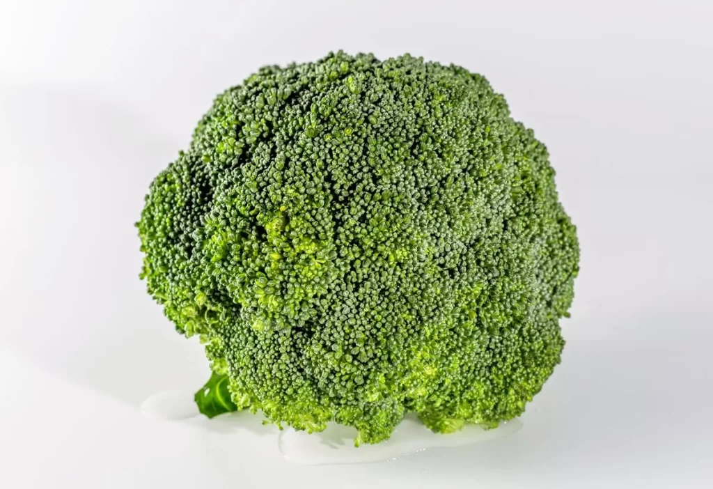 Broccoli Green Florets Compact Nutritious