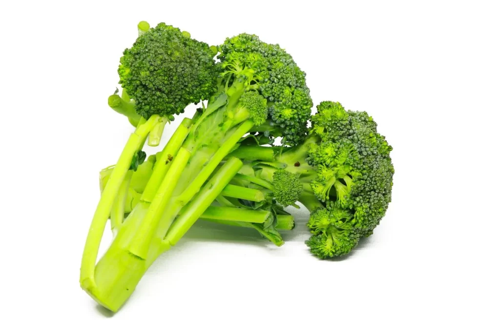 Broccoli Green Florets Crunchy Fresh