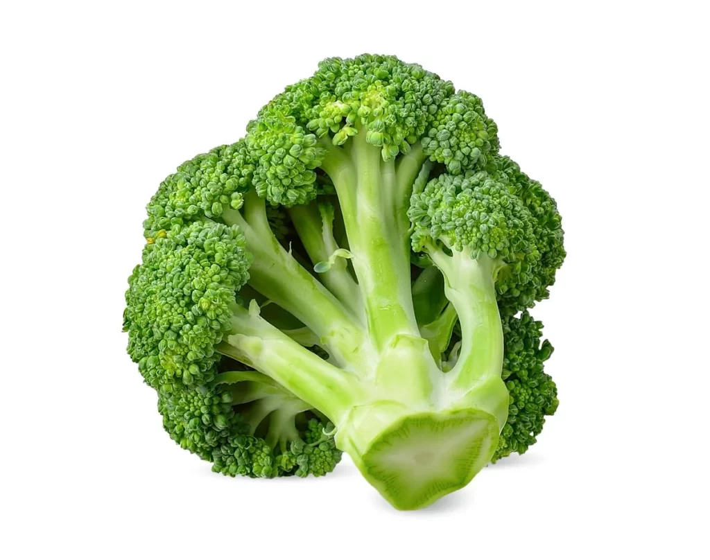 Broccoli Green Florets Crunchy Fresh