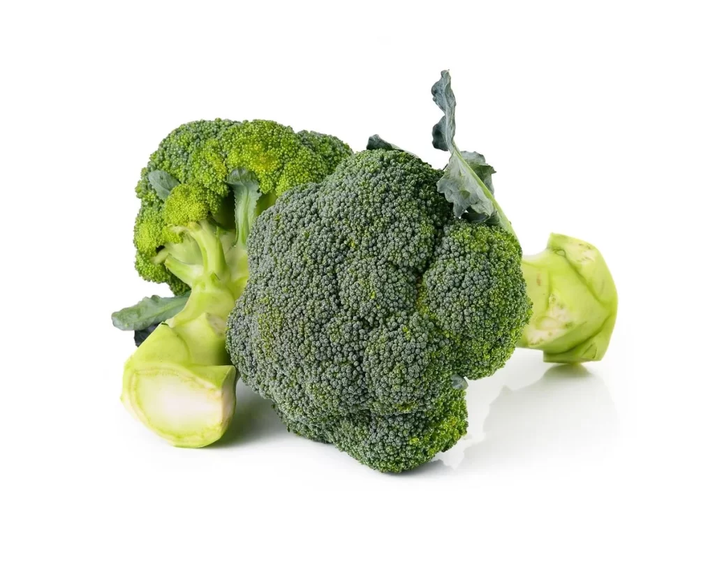 Broccoli Green Florets Crunchy Nutritious