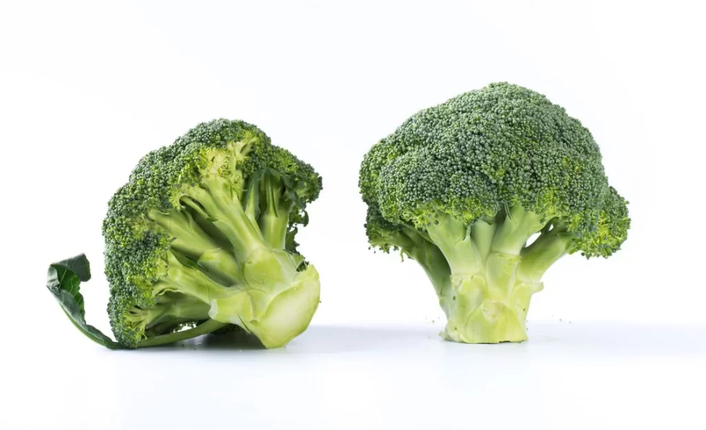 Broccoli Green Florets Crunchy Nutritious