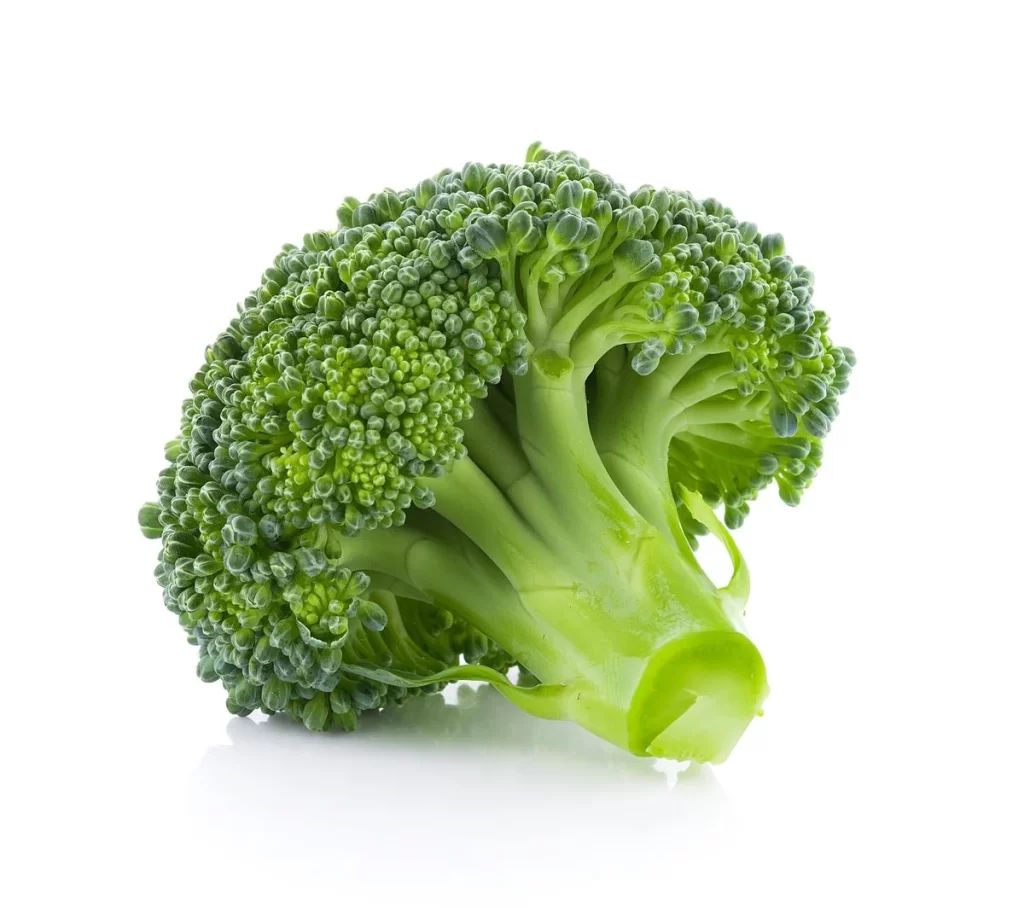 Broccoli Green Florets Fresh Crisp