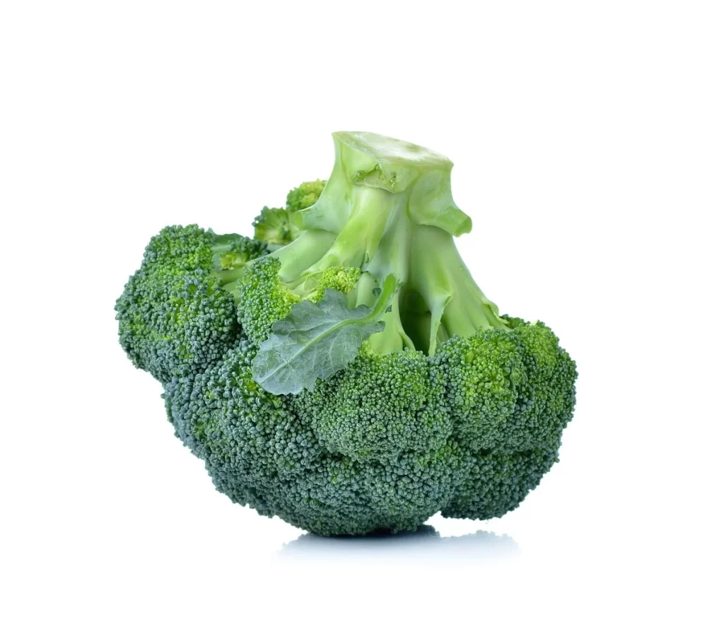 Broccoli Green Florets Fresh Crisp