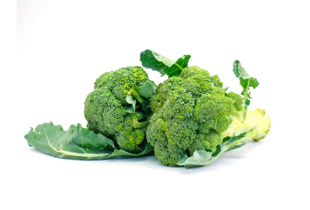 Broccoli Green Florets Fresh Crisp