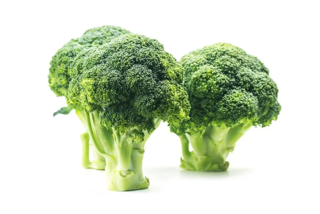Broccoli Green Florets Fresh Crisp
