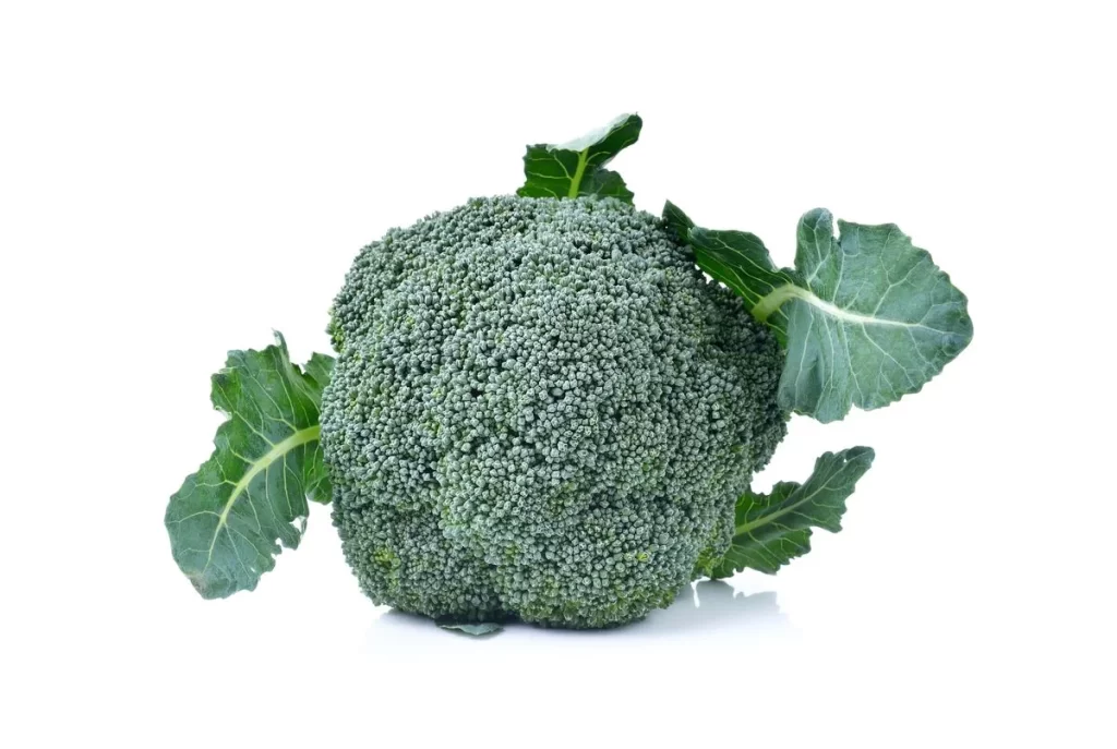 Broccoli Green Florets Fresh Crisp