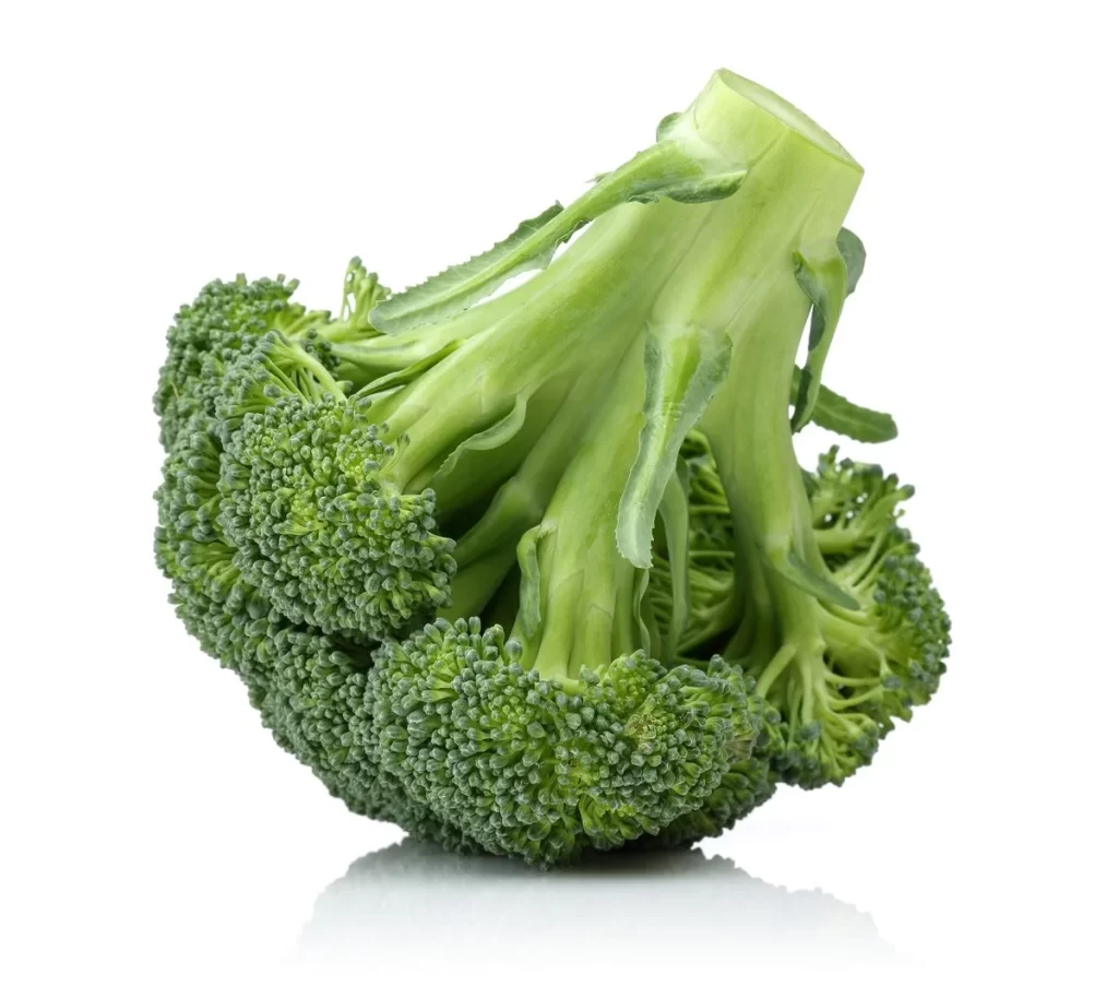 Broccoli Green Florets Fresh Crunchy