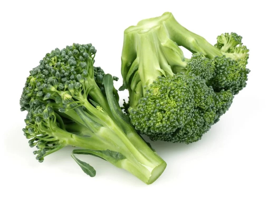 Broccoli Green Florets Fresh Crunchy