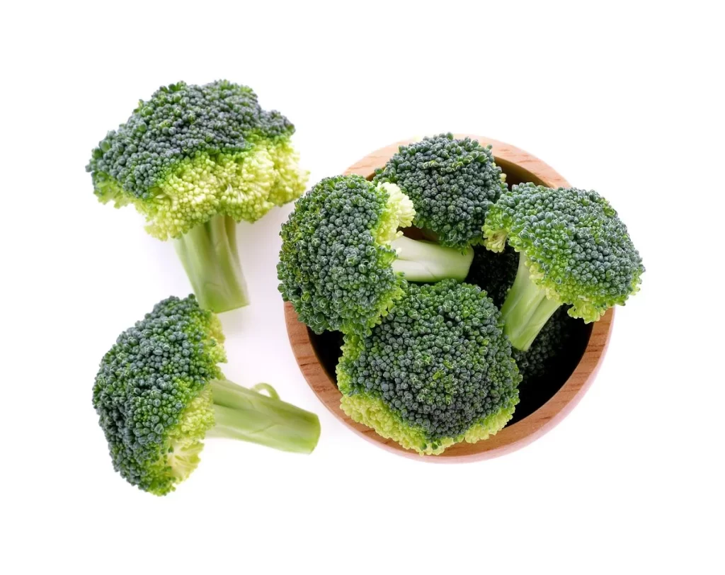 Broccoli Green Florets Fresh Nutritious