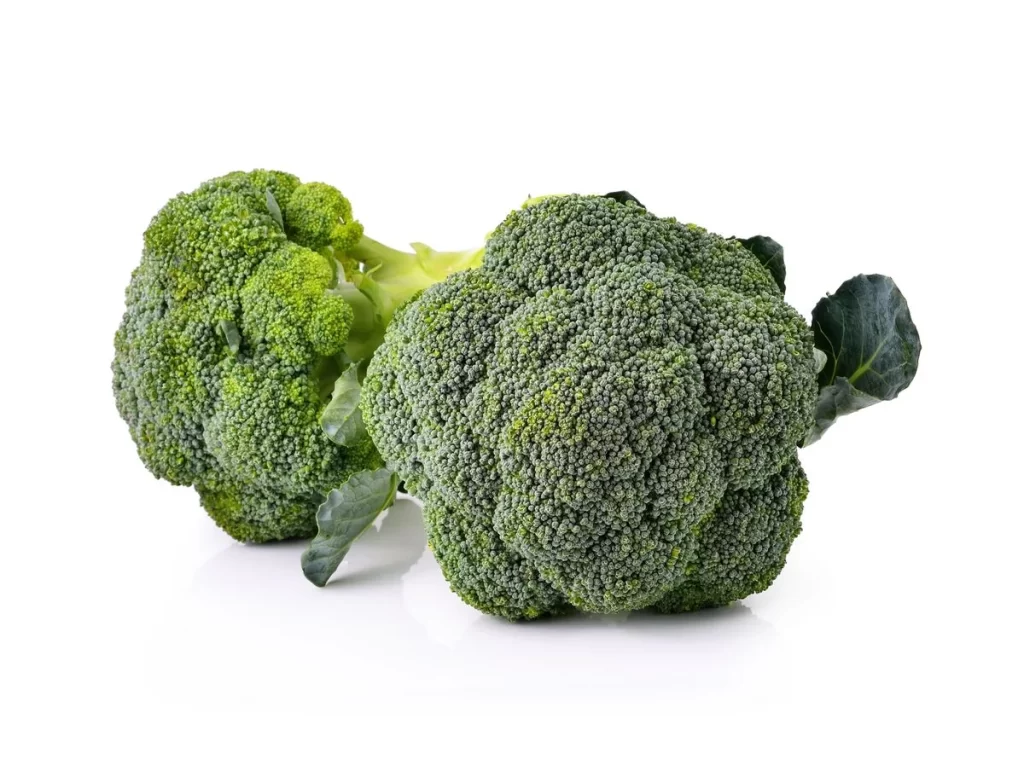 Broccoli Green Florets Fresh Nutritious