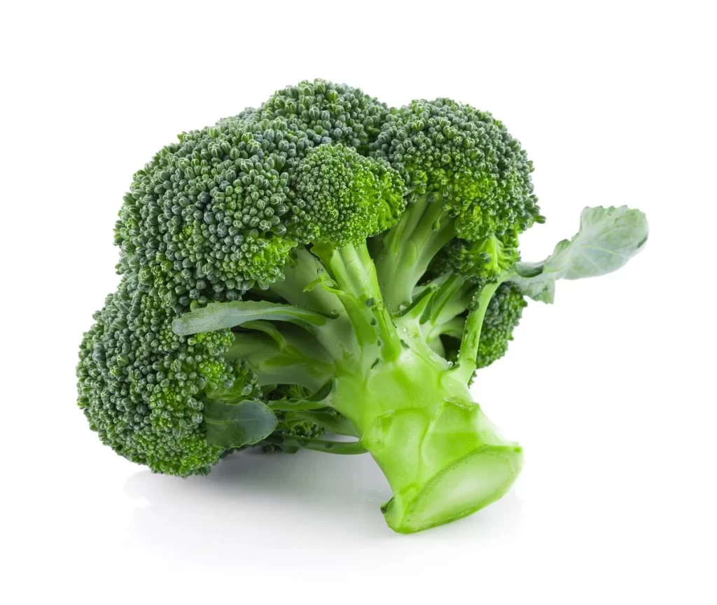Broccoli Green Florets Fresh Nutritious