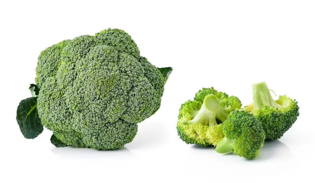 Broccoli Green Florets Nutritious Crunchy