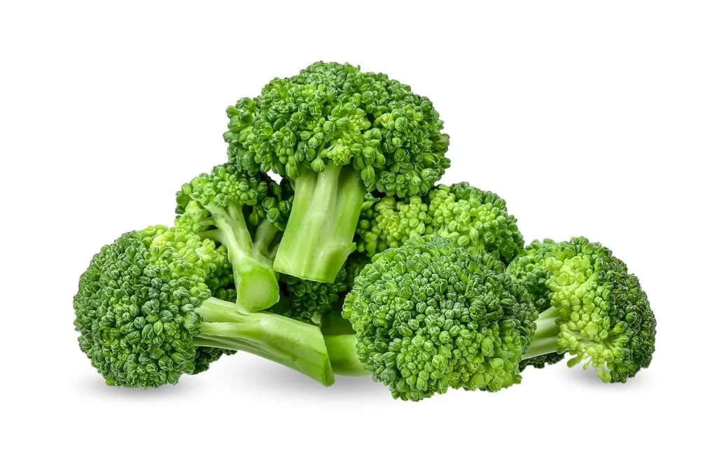 Broccoli Green Florets Nutritious Crunchy