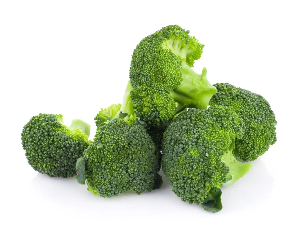 Broccoli Green Florets Nutritious Fresh