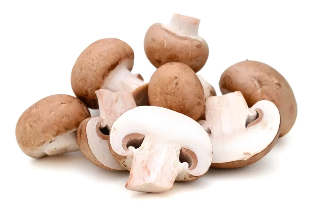 Brown Mushroom Whole Cap Stem