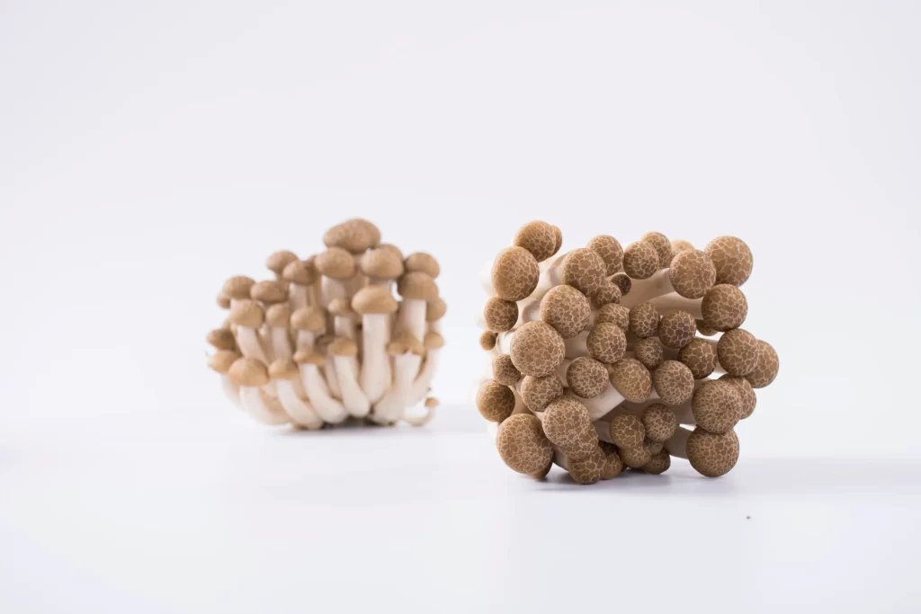 Brown Mushrooms Clustered Spore Cap