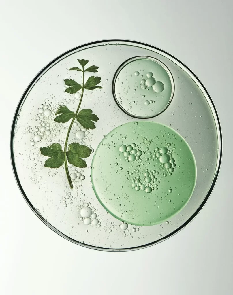 Bubble Green Leafy Plant Water Droplets