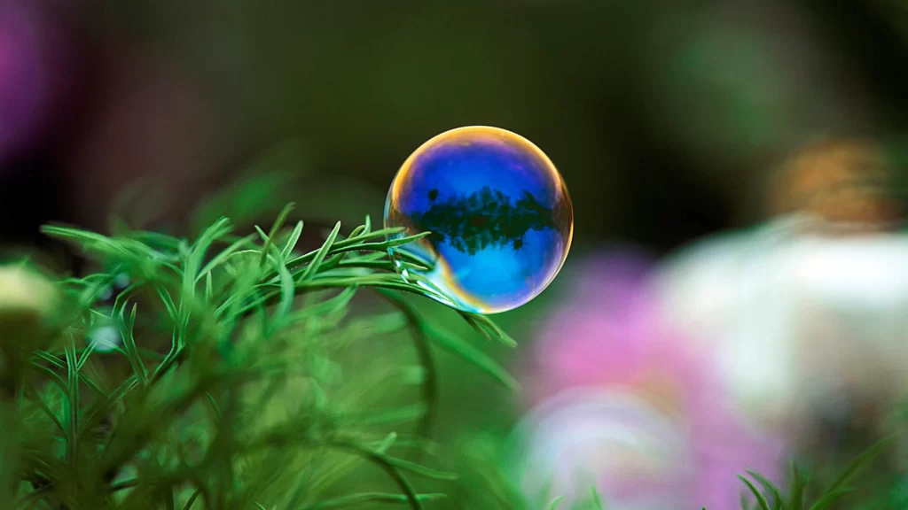Bubble Reflection Nature Green Vibrant Delicate