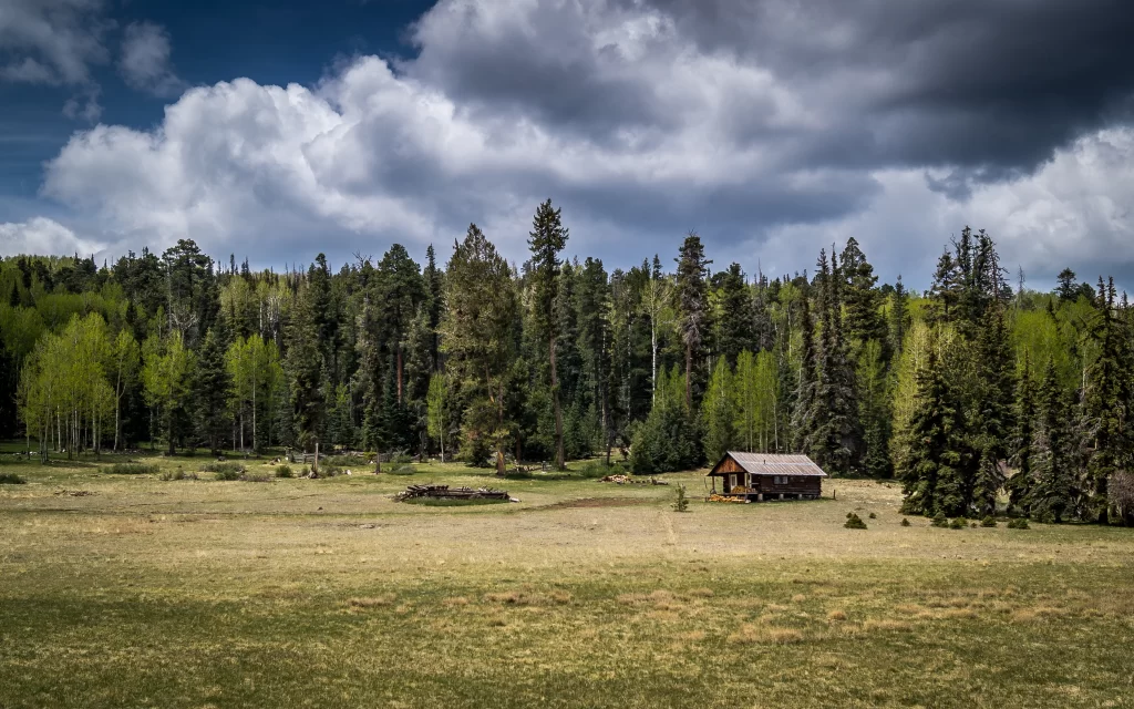 cabin forest trees grass sky clouds