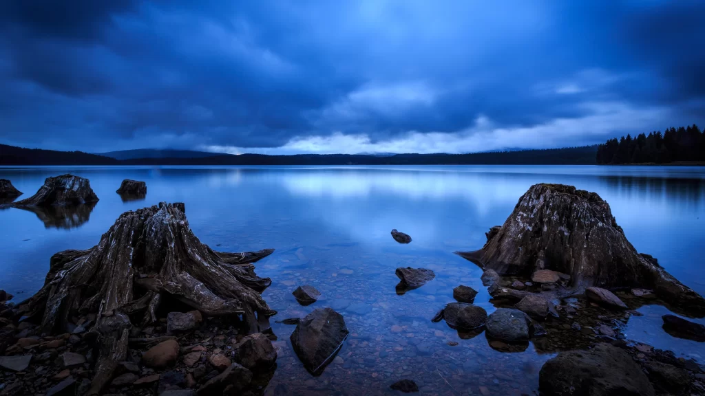 Calm Lake Cloudy Sky Tree Stumps Rocky Shore Serene Twilight