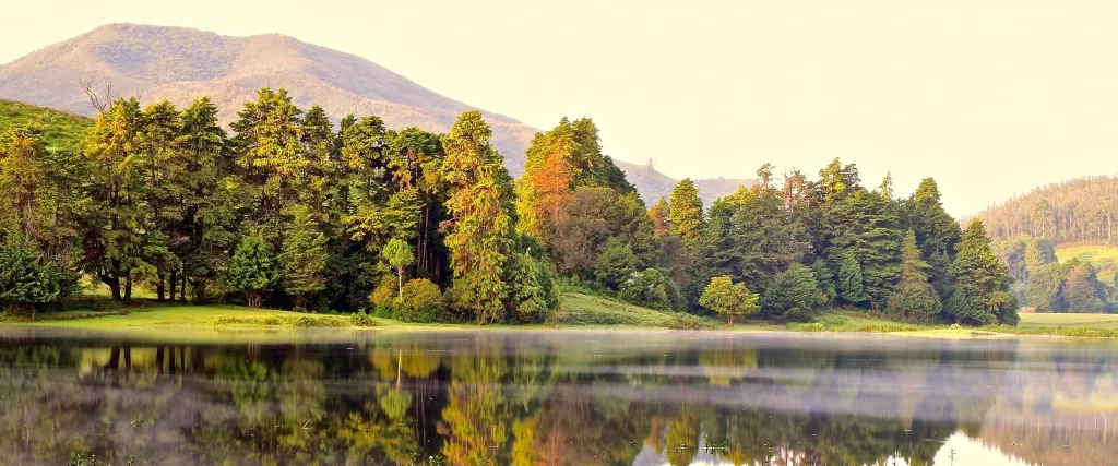 Calm Lake Green Trees Mountain Reflection Mist Serene