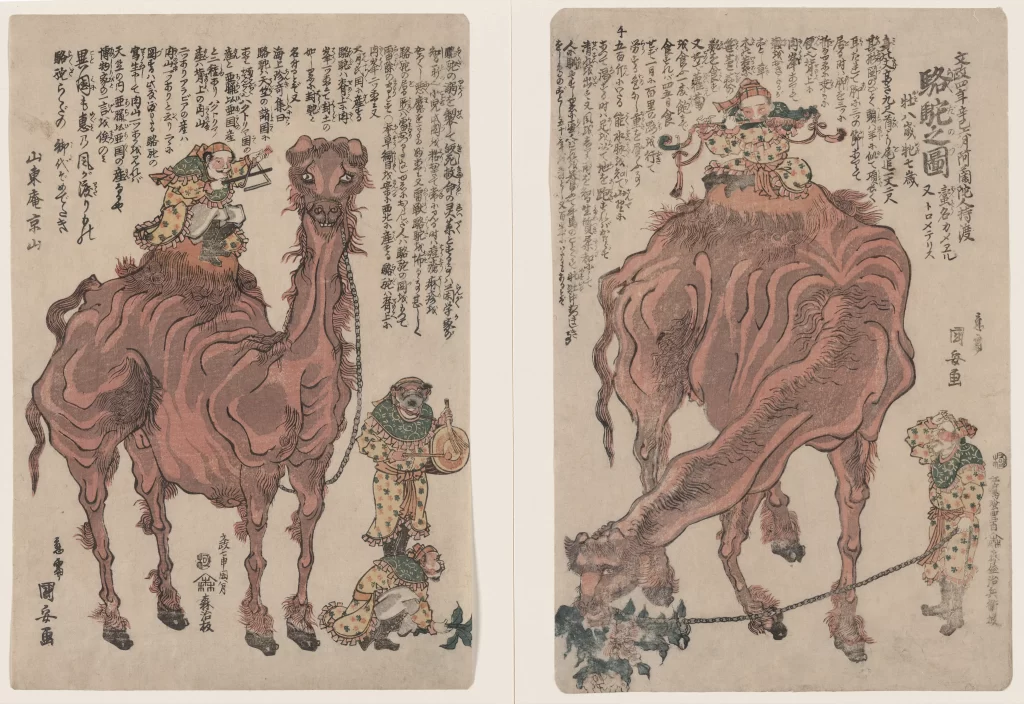 Camel Traditional Attire Japanese Art Woodblock Print Cultural Scene