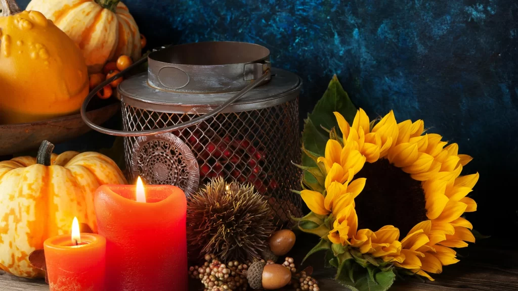 candle sunflower pumpkin lantern autumn berries