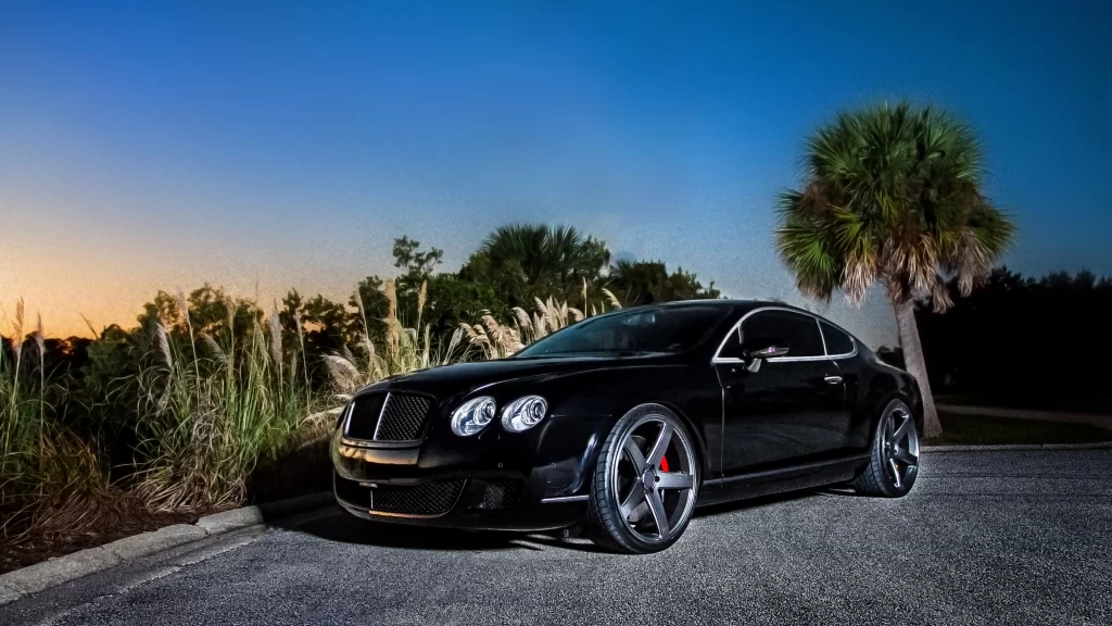car luxury sunset palm tree road
