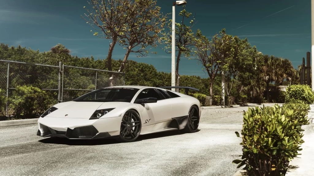 car luxury white road trees