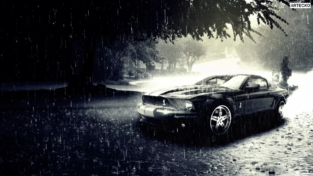 car rain street trees black and white atmosphere