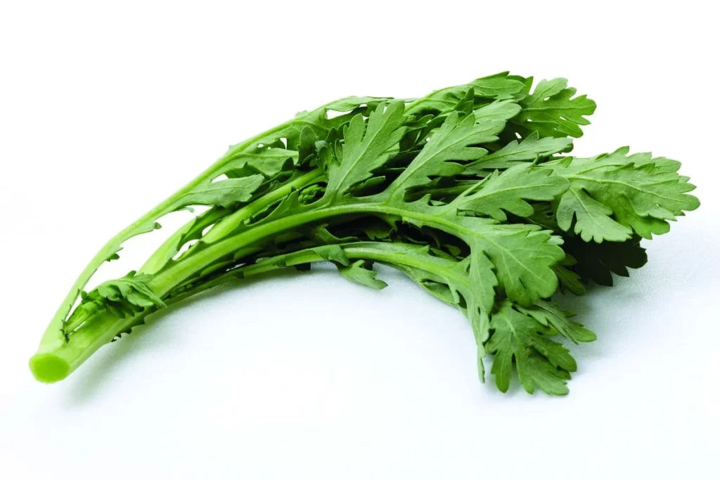 Celery Green Leafy Vegetable Crunchy Fresh