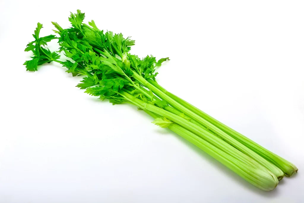 Celery Green Long Stalk Leafy