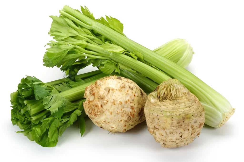 Celery Green Stalky Crunchy Fresh