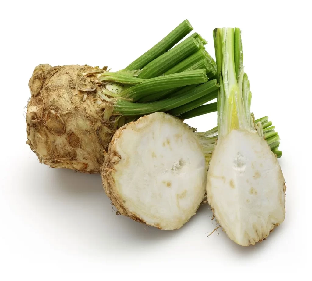 Celery Root White Crunchy Vegetable