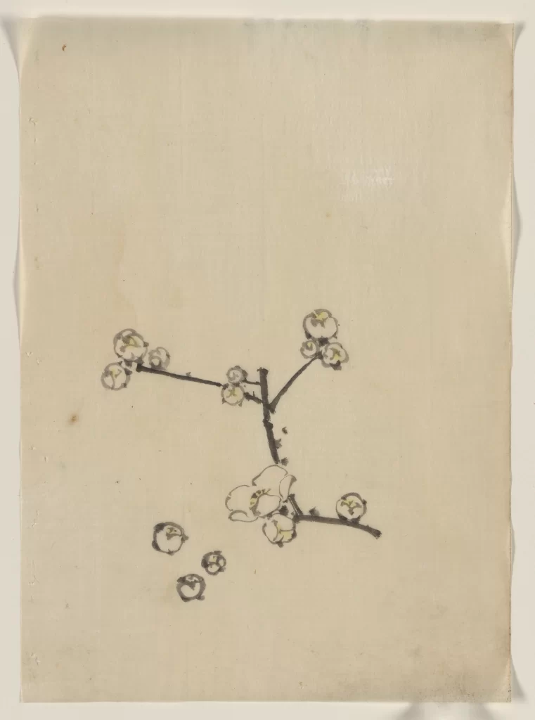 Cherry Blossom Branch Delicate Flowers Black Ink Minimalist