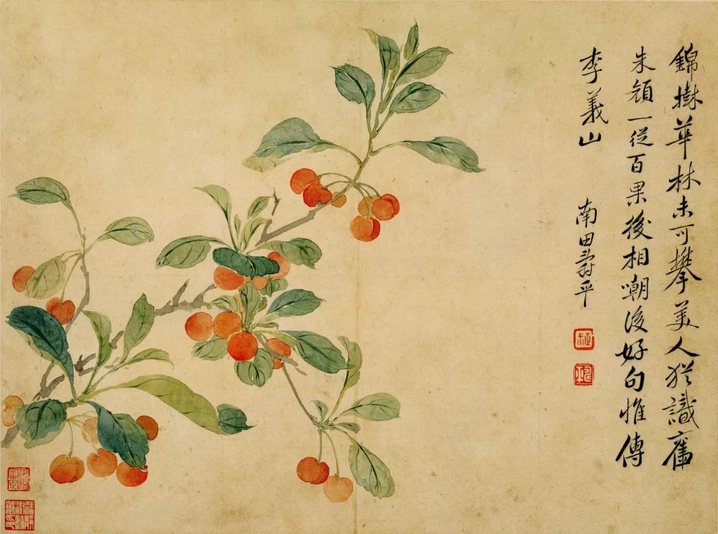 Cherry blossoms color tranquil traditional Hua Yan