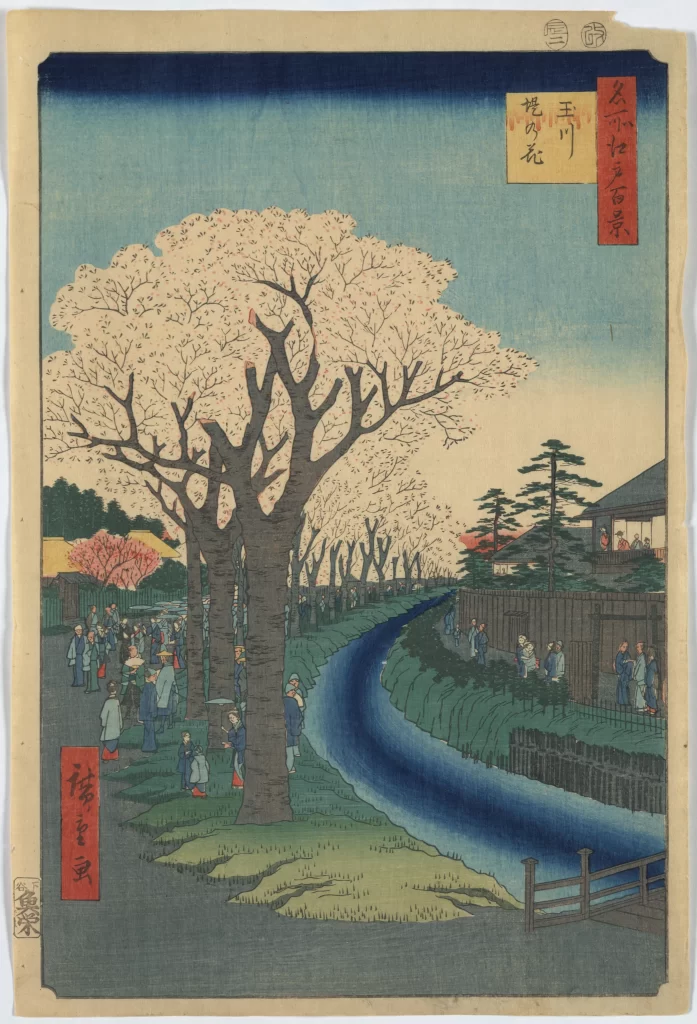 Cherry Blossoms River Traditional People Blue Green