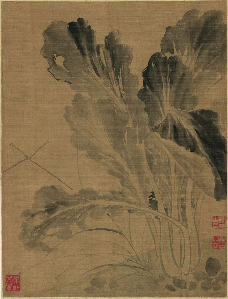Chinese Cabbage Grasshopper Yun Shouping