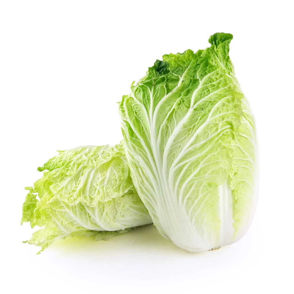 Chinese Cabbage Green Crisp Leafy