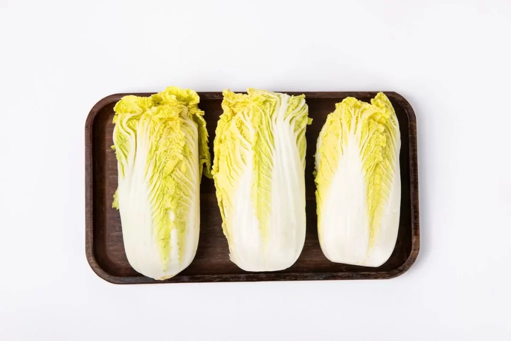 Chinese Cabbage Green Crisp Leafy
