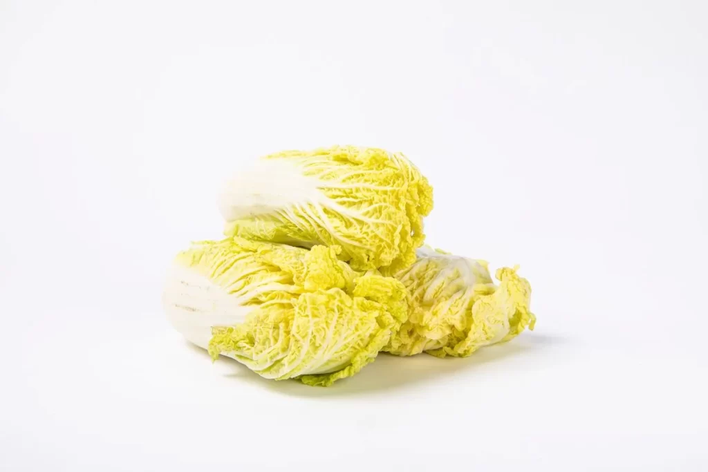 Chinese Cabbage White Crisp Crunchy