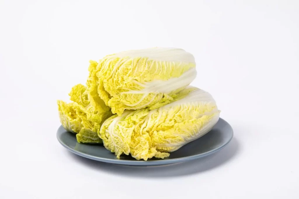 Chinese Cabbage White Crisp Fresh