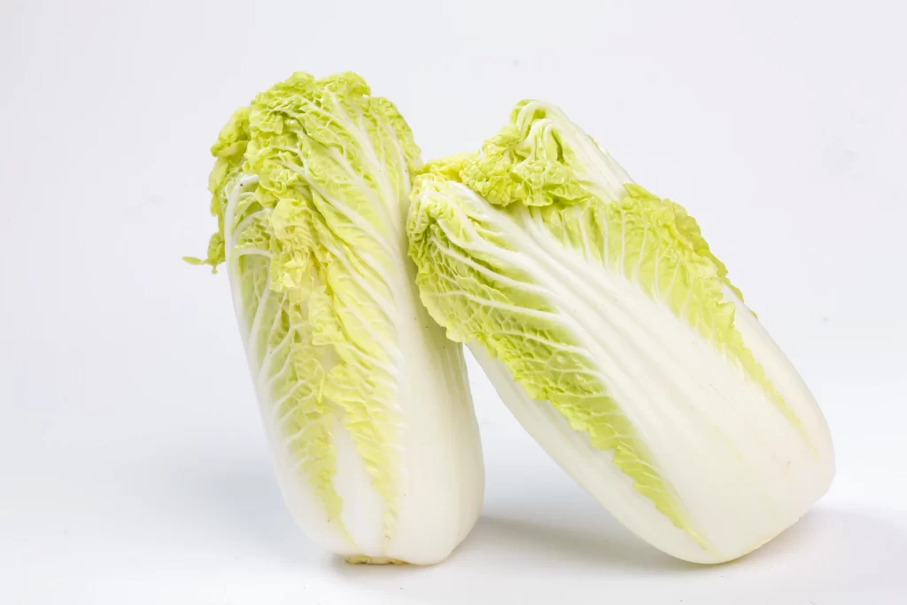 Chinese Cabbage White Green Crisp Fresh